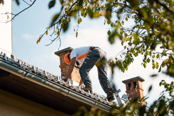 Best Metal Roofing Contractor  in Myrtle Point, OR