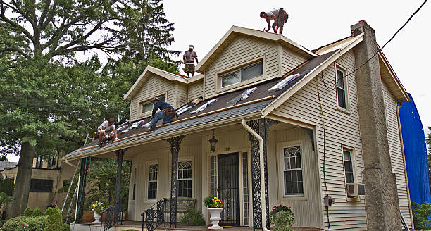 Best Roof Replacement Cost  in Myrtle Point, OR