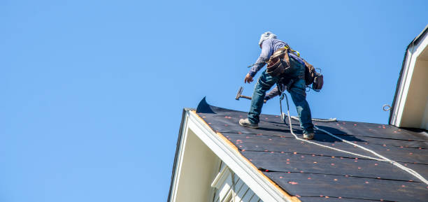 Best Roof Repair Services  in Myrtle Point, OR